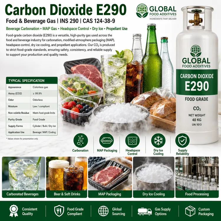 Carbon Dioxide E290 food and beverage gas food additive ingredient illustration