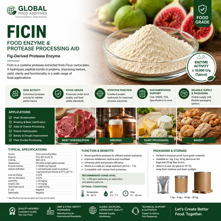 Ficin food enzyme protease processing aid food additive ingredient illustration