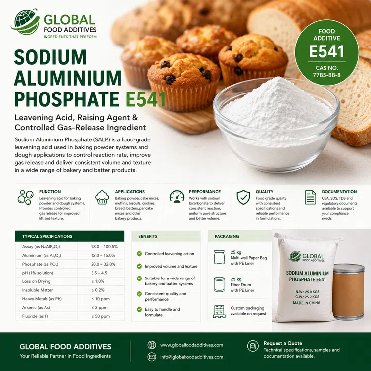 Sodium Aluminium Phosphate E541 leavening acid food additive ingredient illustration
