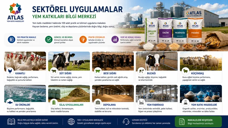 Sektörel uygulamalar