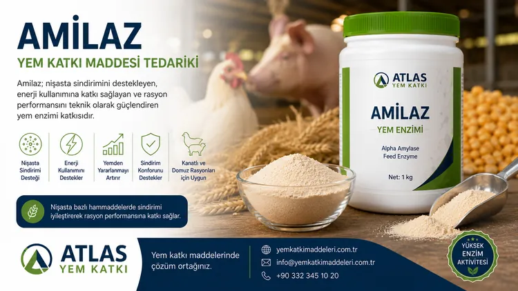 Amilaz
