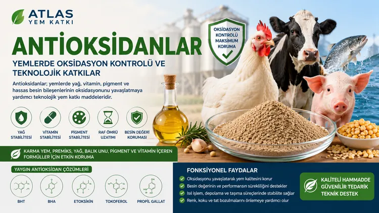 Antioksidanlar