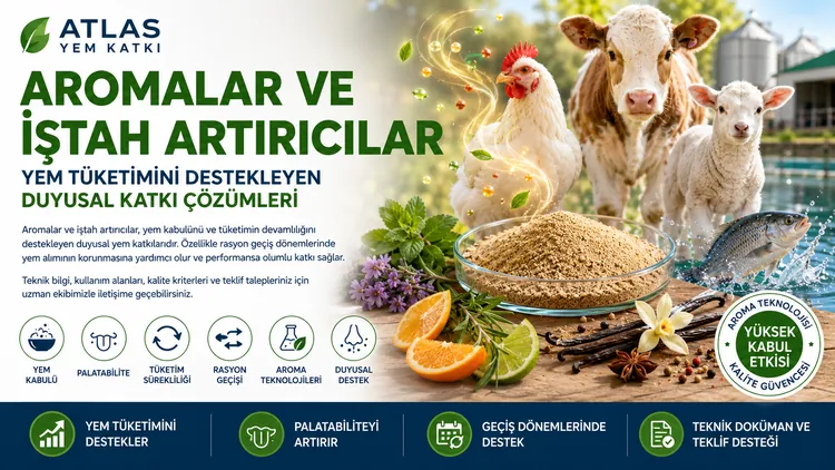 Aromalar ve İştah Artırıcılar