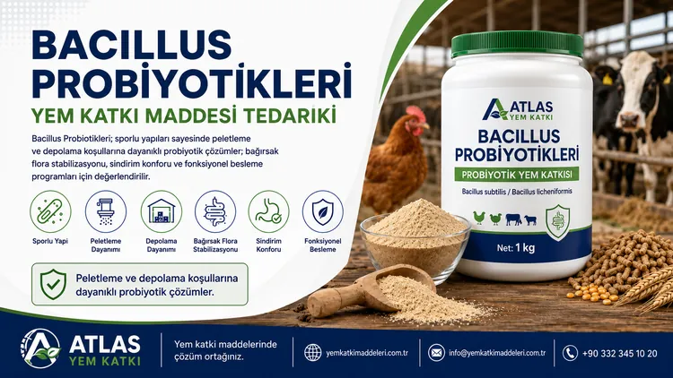 Bacillus Probiotikleri