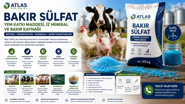 Bakır Sülfat
