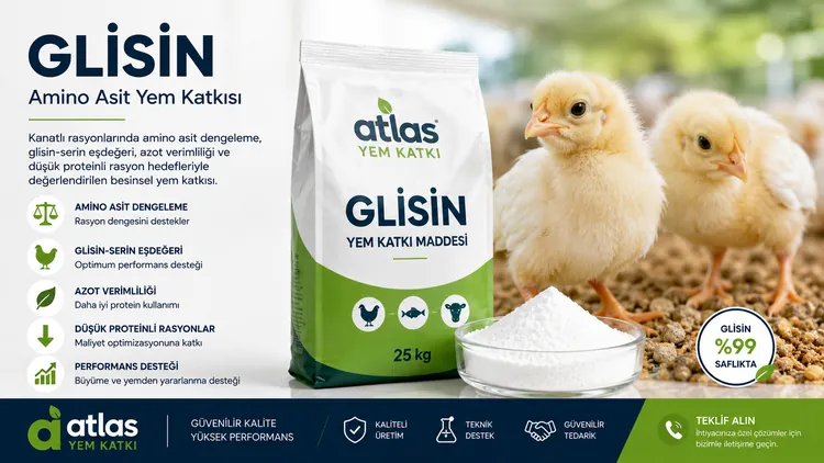 Glisin