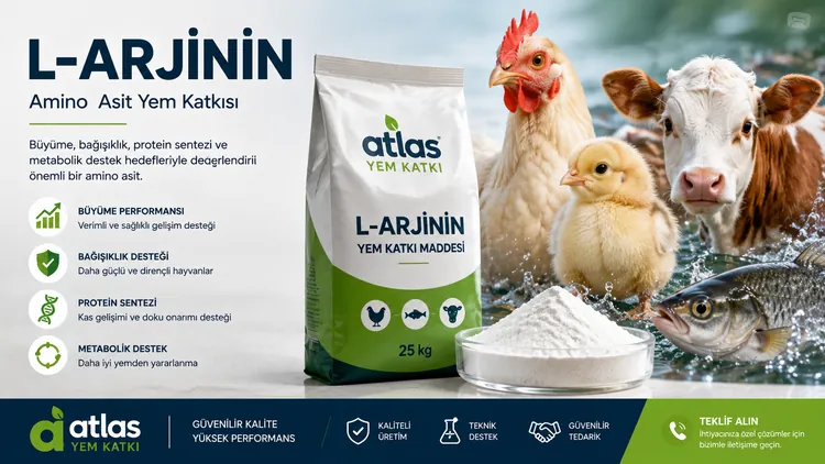 L-Arjinin