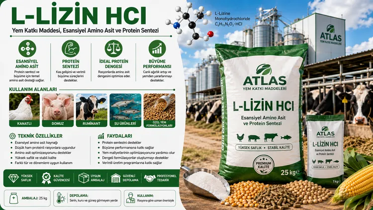 L-Lizin HCl