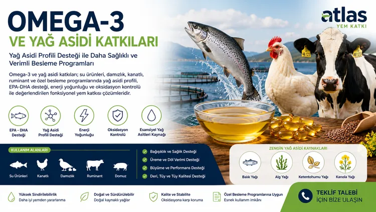 Omega-3 ve Yağ Asidi Katkıları