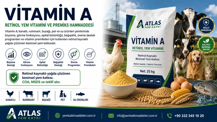 Vitamin A
