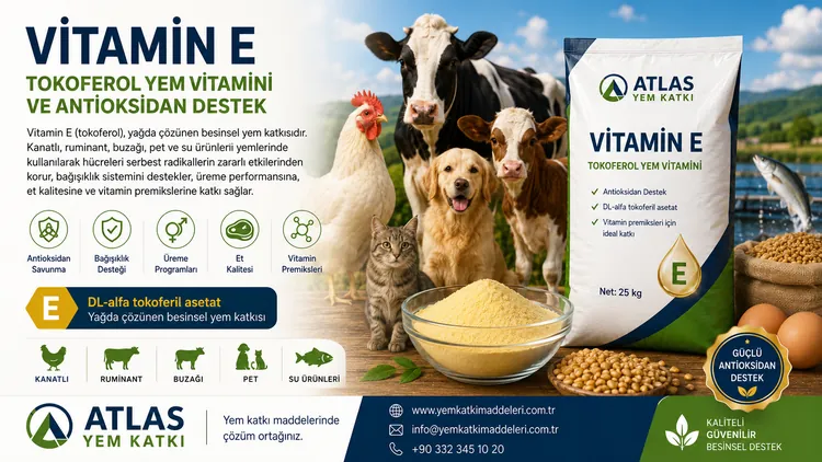 Vitamin E