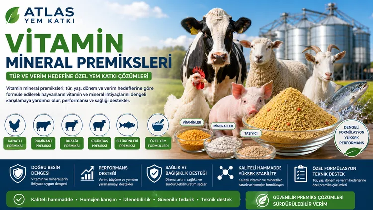 Vitamin Mineral Premiksleri