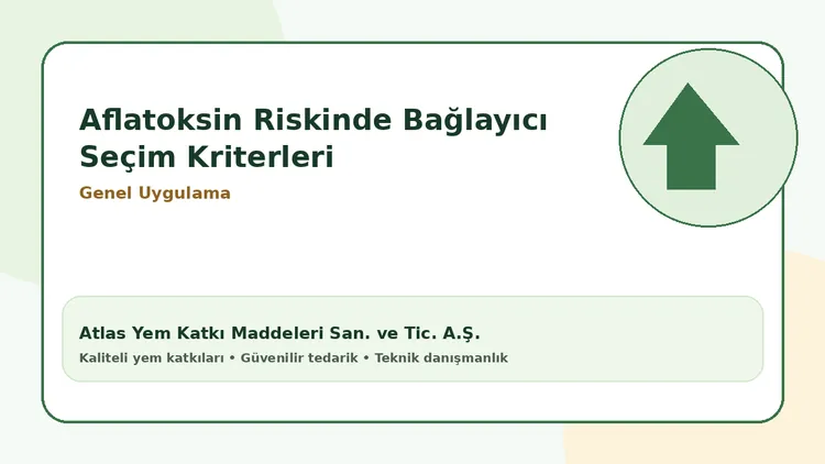Aflatoksin Riskinde Bağlayıcı Seçim Kriterleri