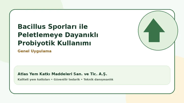 Bacillus Sporları ile Peletlemeye Dayanıklı Probiyotik Kullanımı
