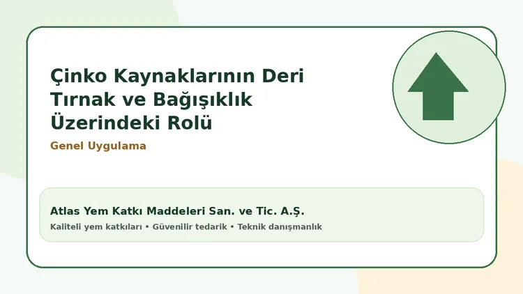 Çinko Kaynaklarının Deri Tırnak ve Bağışıklık Üzerindeki Rolü