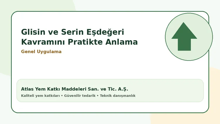 Glisin ve Serin Eşdeğeri Kavramını Pratikte Anlama