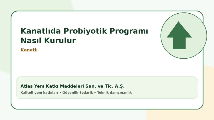 Kanatlıda Probiyotik Programı Nasıl Kurulur