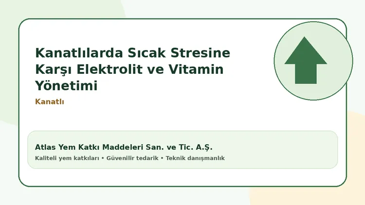 Kanatlılarda Sıcak Stresine Karşı Elektrolit ve Vitamin Yönetimi