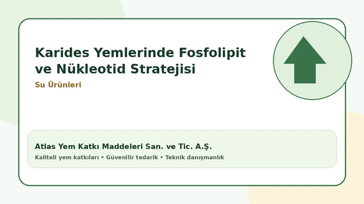 Karides Yemlerinde Fosfolipit ve Nükleotid Stratejisi
