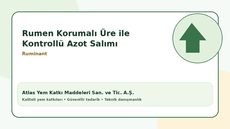 Rumen Korumalı Üre ile Kontrollü Azot Salımı