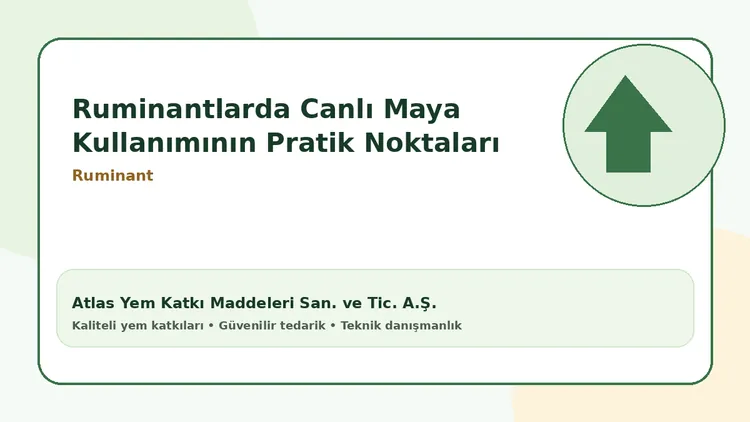Ruminantlarda Canlı Maya Kullanımının Pratik Noktaları