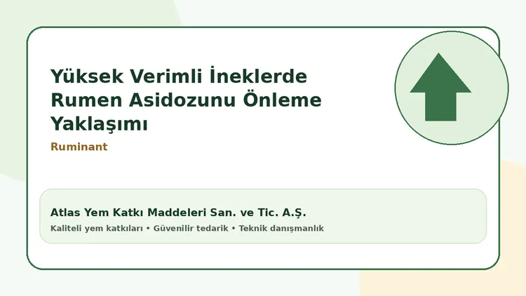 Yüksek Verimli İneklerde Rumen Asidozunu Önleme Yaklaşımı